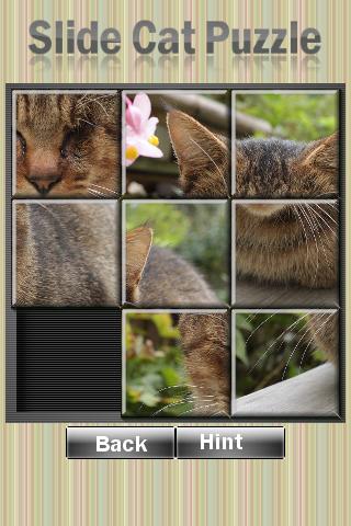 Slide Cat Puzzle Android Brain & Puzzle