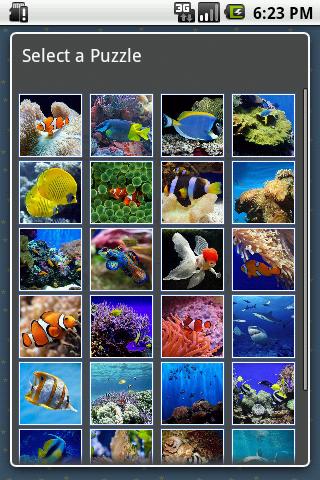 Tropical Fish Puzzles