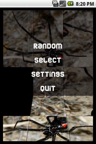 Spiders Puzzle Android Brain & Puzzle
