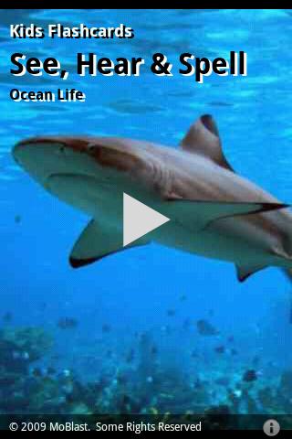 Kids Flashcards: Ocean Life