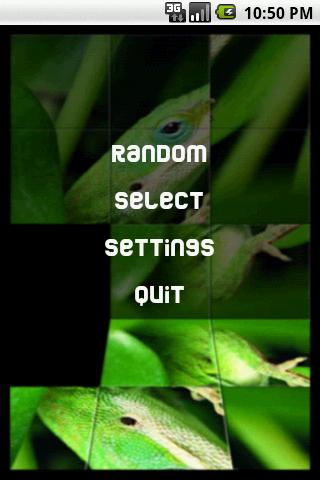 Lizards Puzzle