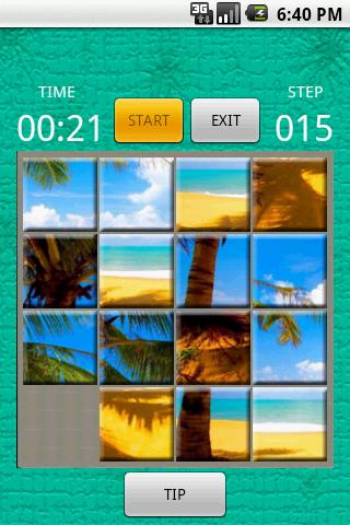 Palm Desert Puzzle Android Brain & Puzzle