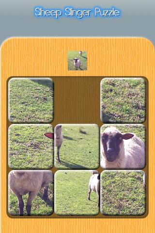 Puzzle  Sheep Slinger