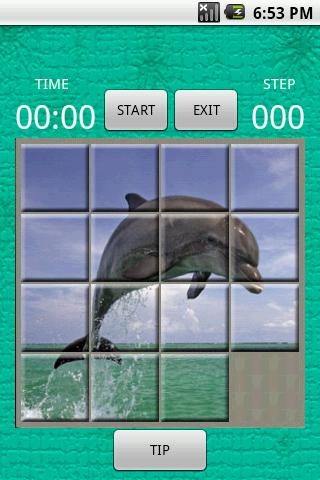 Flipper Puzzle