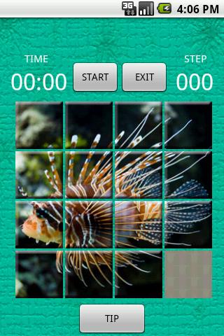Fish Speed Puzzle Android Brain & Puzzle