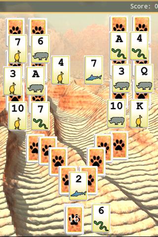 Wild Solitaire Android Cards & Casino