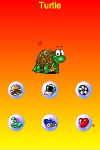 Virtual Turtle web