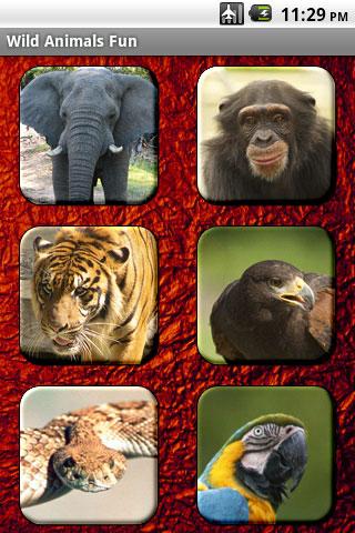 Wild Animals Fun Android Casual