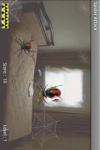 Spider Attack Free- Halloween Android Arcade & Action