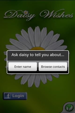 Daisy Wishes