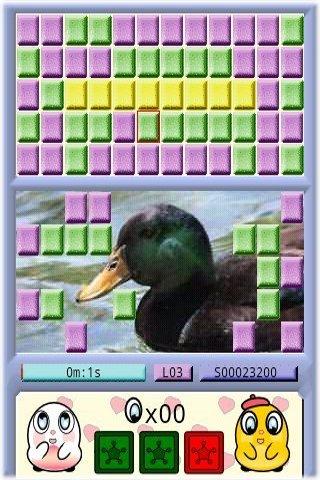 Copippo Demo – The Puzzle Android Brain & Puzzle