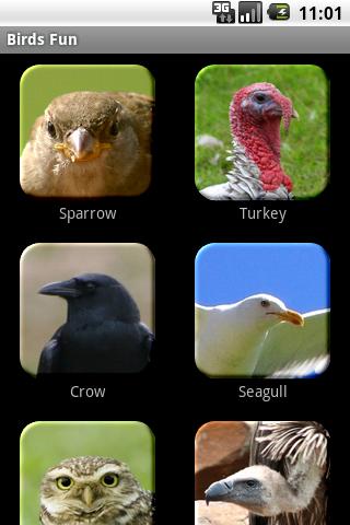 Birds Fun Android Casual